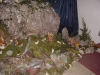 jaslice_0
