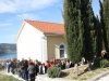 Cvjetnica, Vrsine