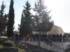 Cvjetnica, Vrsine