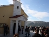 Cvjetnica, Vrsine