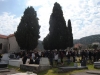 Cvitnica (2).jpg
