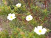 20190501_094750.jpg