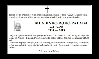 mladinko-roko-palada