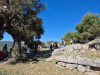 IMG-20250504-WA0020
