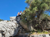 IMG-20250504-WA0053