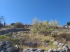 20210405_100740.jpg