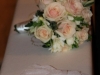 IMG_7689.JPG