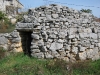 perunova-bunja-u-gustirni