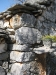 vrsine